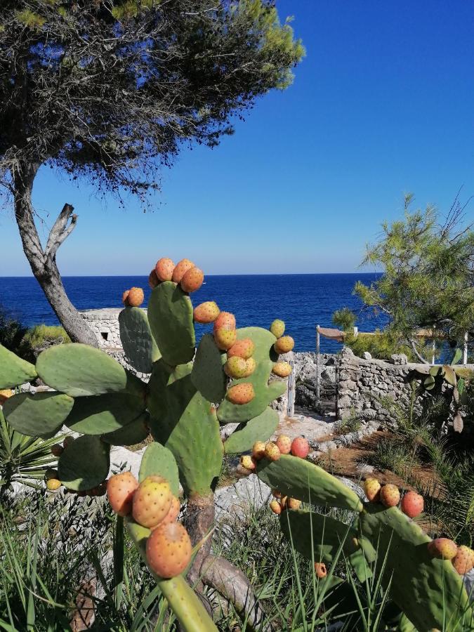 Villa Marigiosa Salento Marittima Extérieur photo